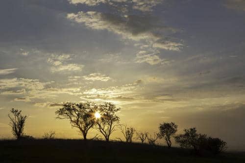 Ocaso