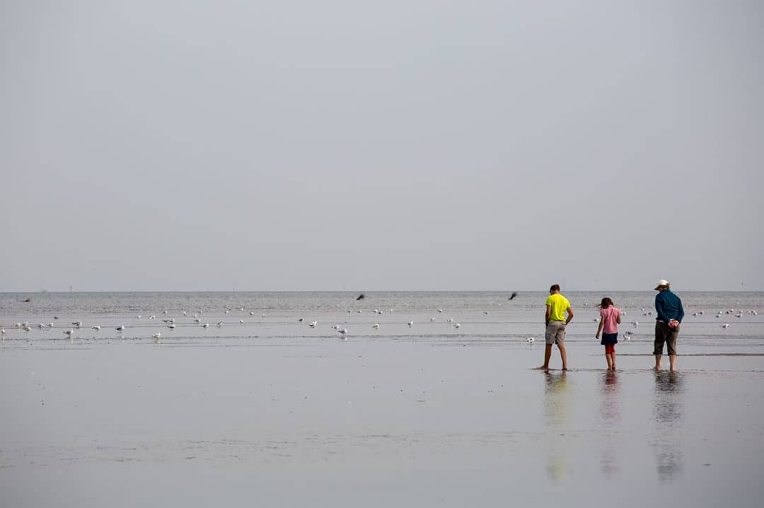 Marea Baja